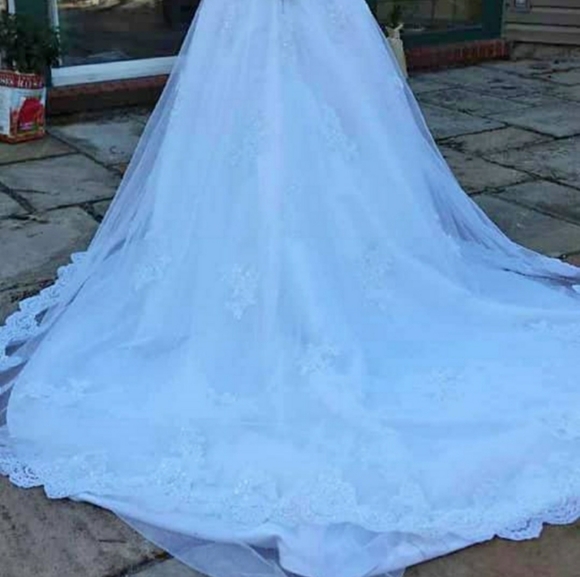 Wedding Dress - Picture 4 of 16